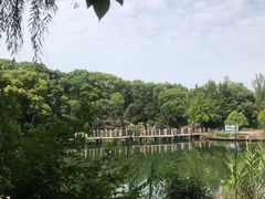 -白马涧龙池景区