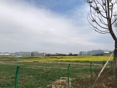 -光明小镇欢乐田园