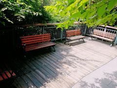 -金鸡山公园