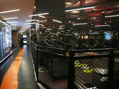 -威尔仕健身(新天地店)