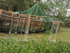 -北海金海湾红树林生态旅游区