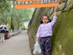 -紫金山山顶公园