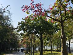 -顺峰山公园