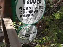 -大岭沟猕猴桃谷风景区