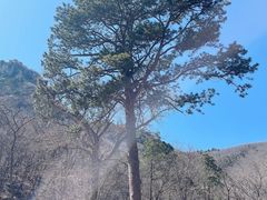 -北京上方山国家森林公园