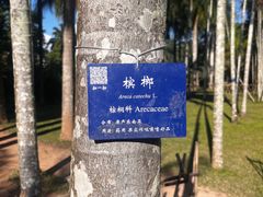 -中国科学院西双版纳热带植物园