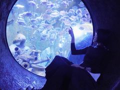 -成都浩海立方海洋公园