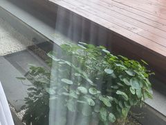 -小茶闲舍·观景商务茶馆(广州塔店)