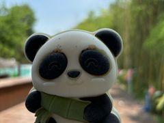 -栾川竹海野生动物园