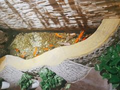 -鸥迪足道(老虎滩店)