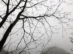 -宁波五龙潭景区