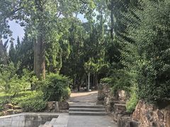 -嘉定紫藤园