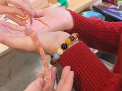 -吉丁鸟咖·异宠·寄养