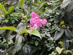 -成都市活水公园