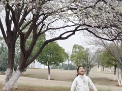 -盘龙城国家考古遗址公园