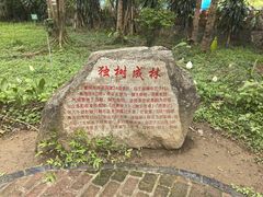 -瑞丽独树成林风景区