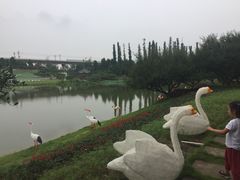 -秀丽东方