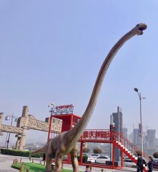 -恐龙探索乐园(磁器口店)