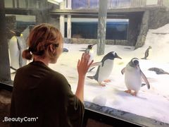 -悉尼海洋生物水族馆
