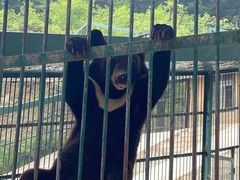 -栾川竹海野生动物园