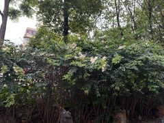 -左撇子私房面