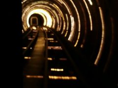 -东方明珠国际旅行社有限公司