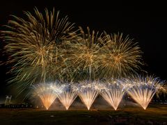 -南宁花花大世界景区