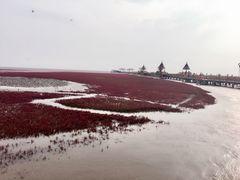 -红海滩国家风景廊道