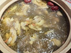 -邹开喜·炭炉鸡煲·海鲜火锅(虹口足球场店)