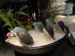 海豚丸-湊湊火锅·茶憩(新中关购物中心店)