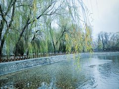 -迎泽公园