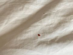 -上海宝华万豪酒店