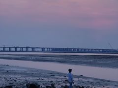 -宝安西湾红树林湿地公园