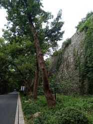 -玄武湖景区-情侣园游乐场