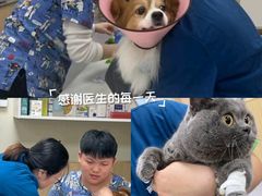 -康成宠物医院24H·CT·核磁共振