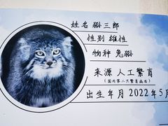 -青藏高原野生动物园