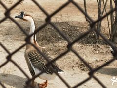 -森林公园(尖草坪区)