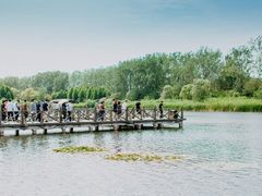 -溱湖国家湿地公园