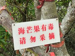 -放鸡岛生态旅游国际度假区