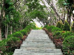 -深圳龙潭公园