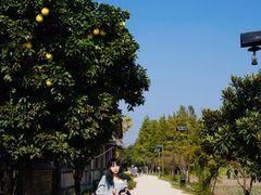 -乌村