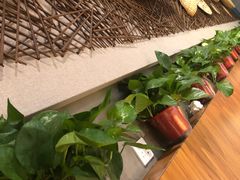 -香满园春饼·家常菜(东大桥店)