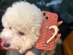 -老街鱼嘴巴(坡子街老店)