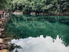-石台牯牛降景区