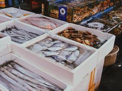 -盛华世家商业广场农贸水产综合批发市场