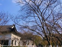 -范蠡湖公园