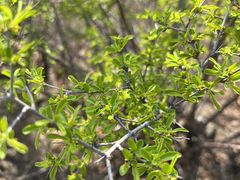 -鹫峰国家森林公园