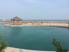 -日照海滨国家森林公园