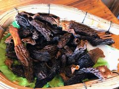 野生菌-阿婆情腊排骨火锅(金虹路店)