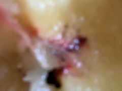 提拉米苏-菊上料理(蜀山银泰百货店)